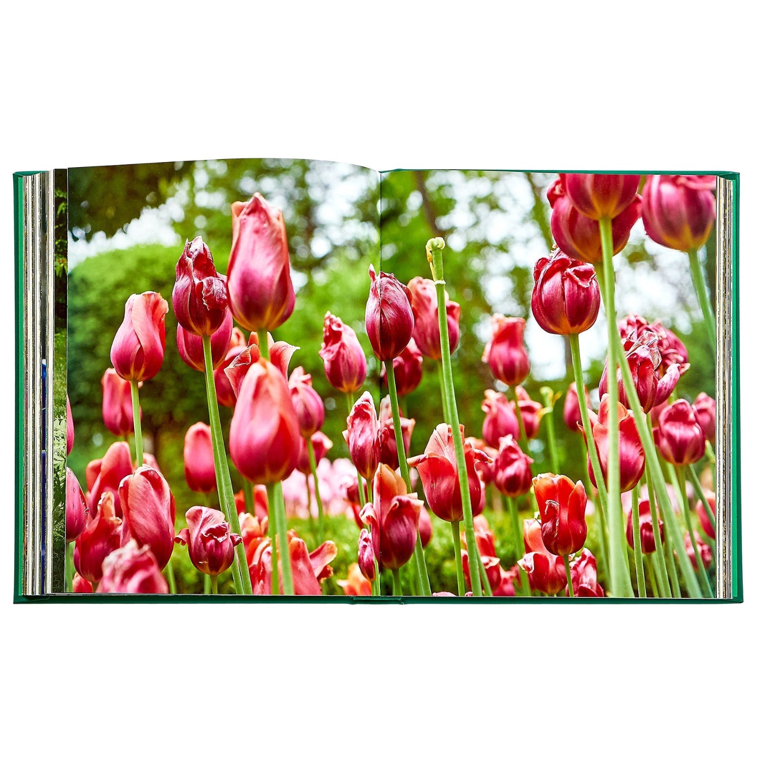 Bunny Williams: Life in the Garden book inside