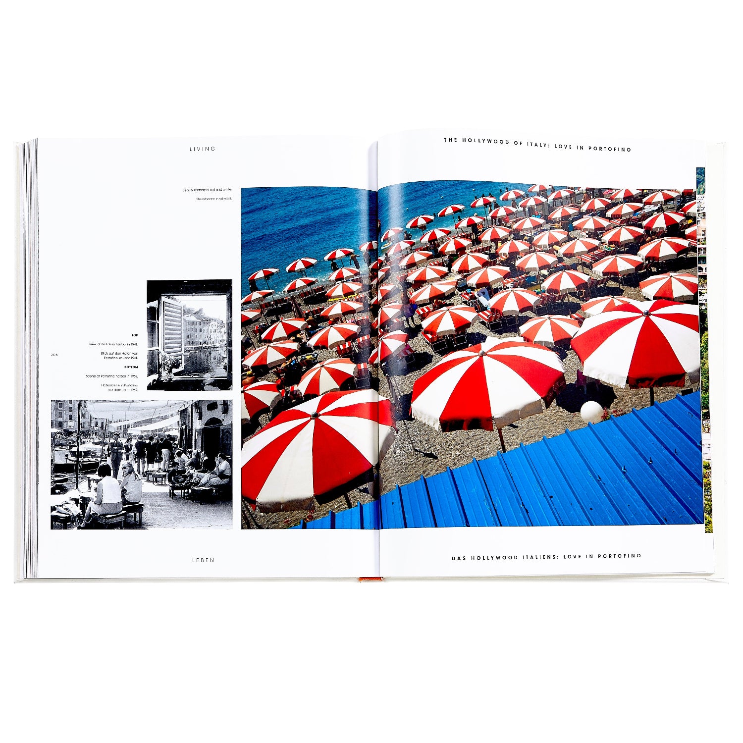 Beach Life book inside