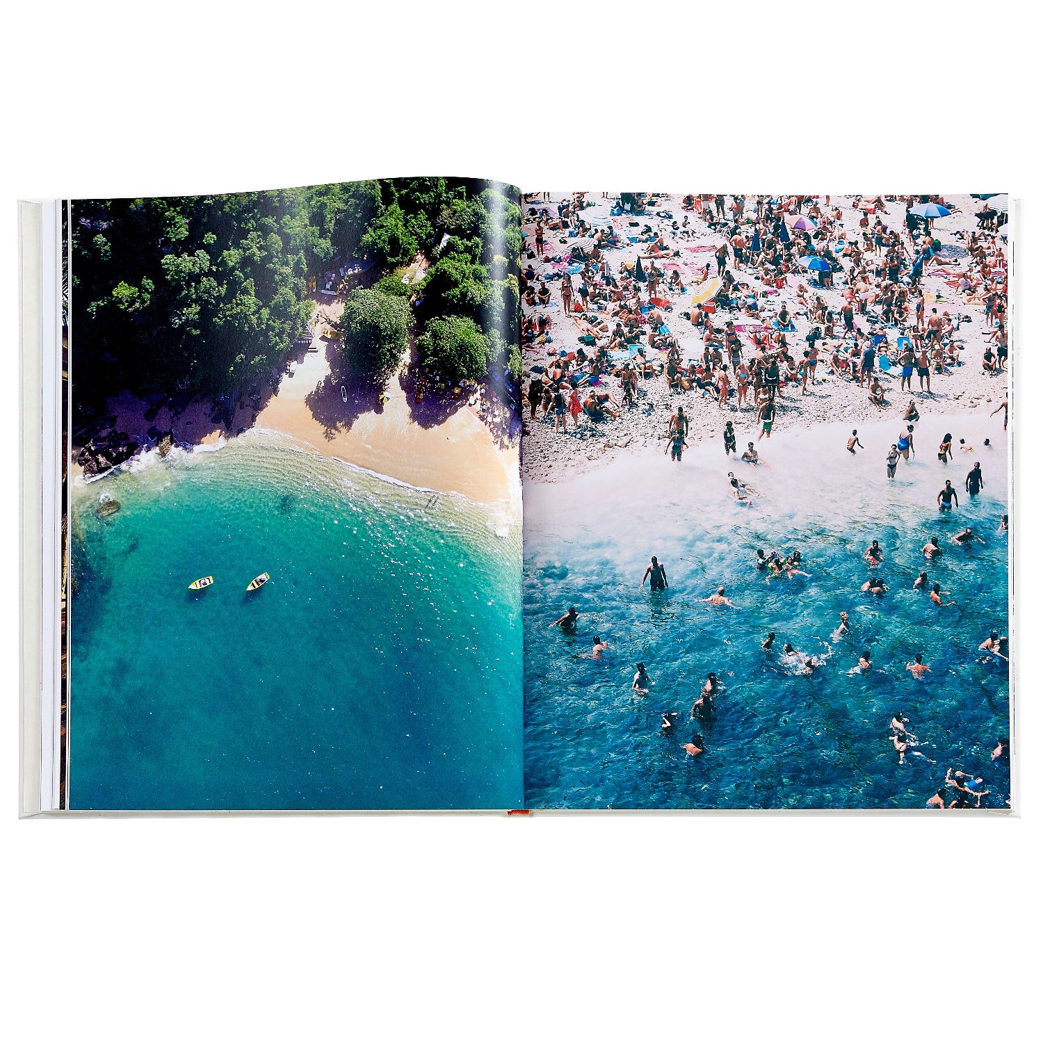 Beach Life book inside