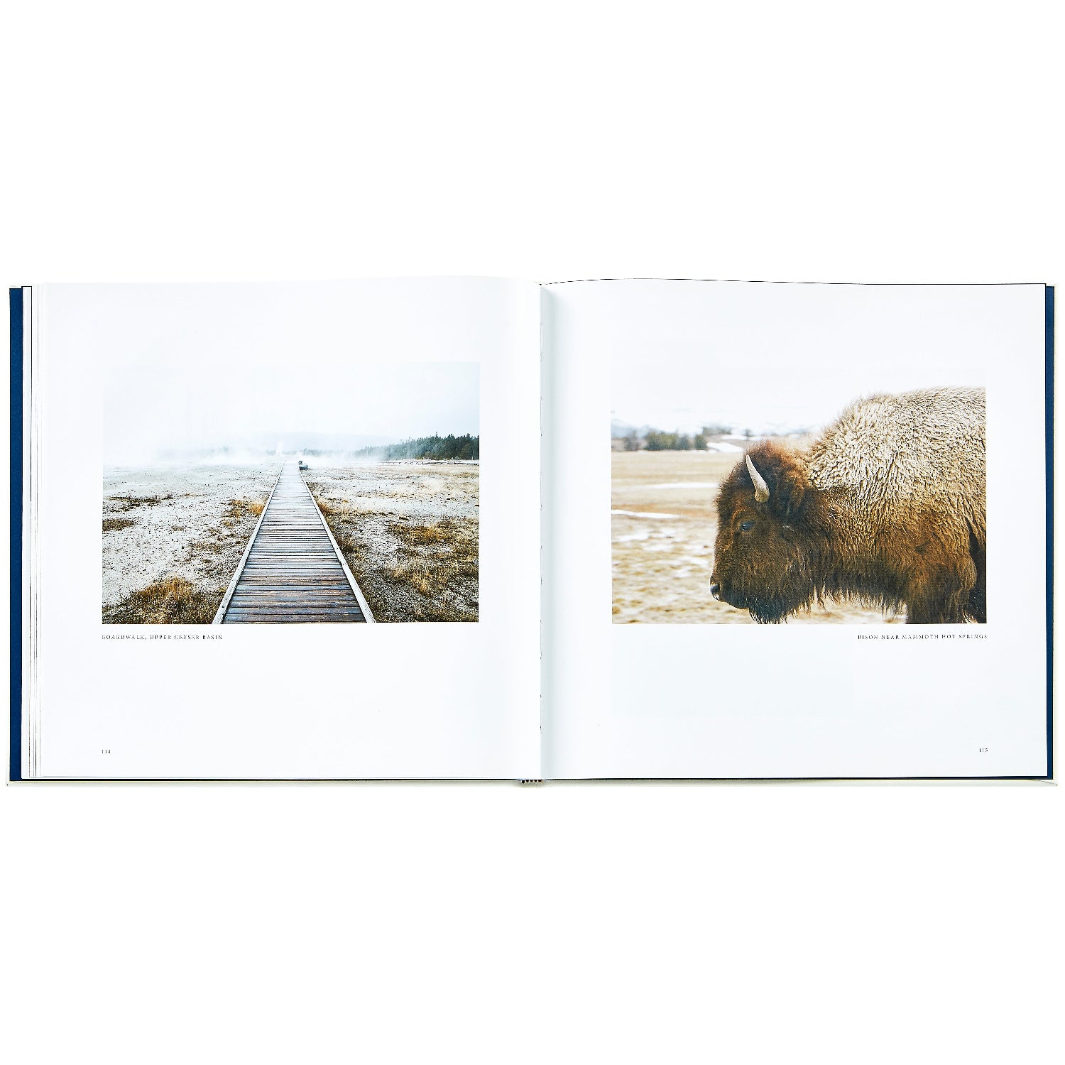 Yellowstone: A Land of Wild and Wonder book inside