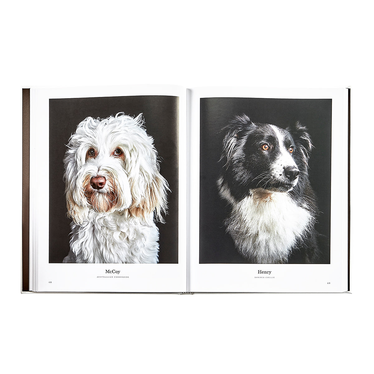 Good Dog book inside