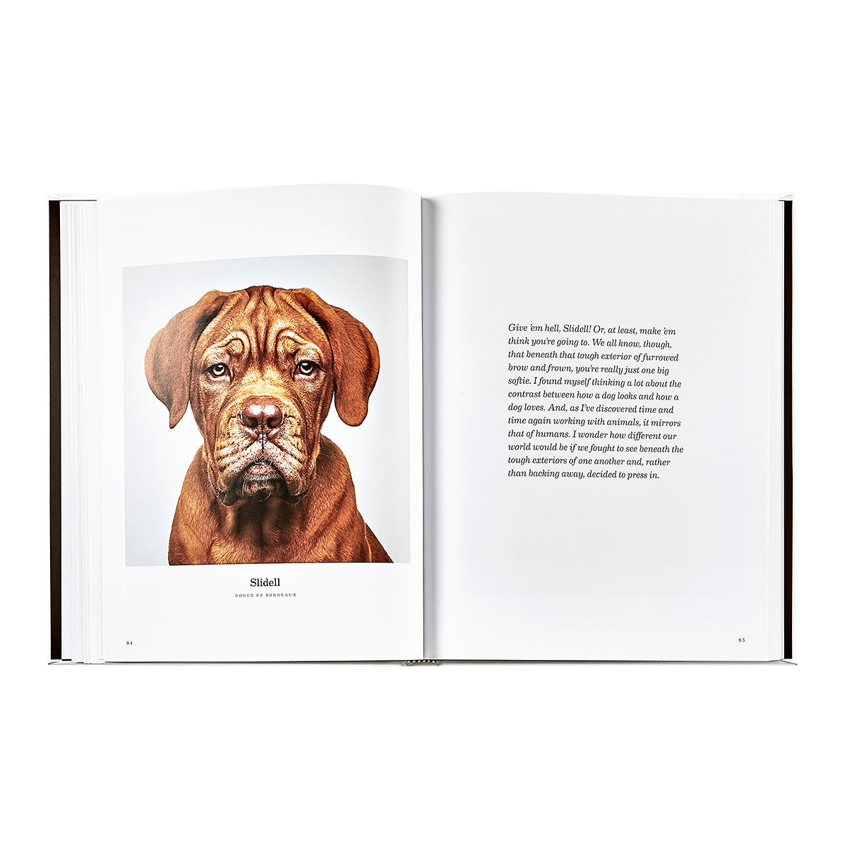 Good Dog book inside