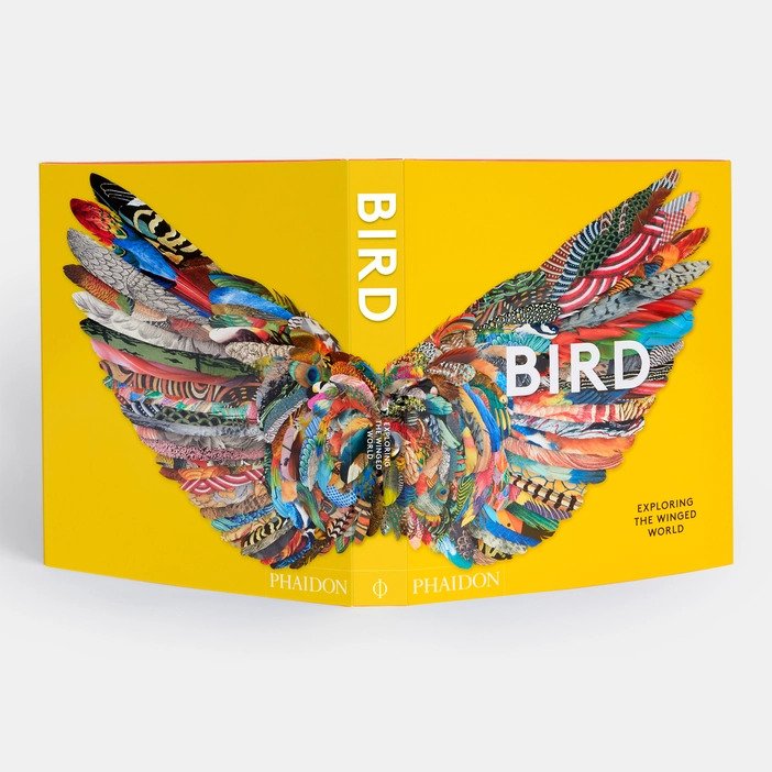 Bird exploring the winged world front back cover