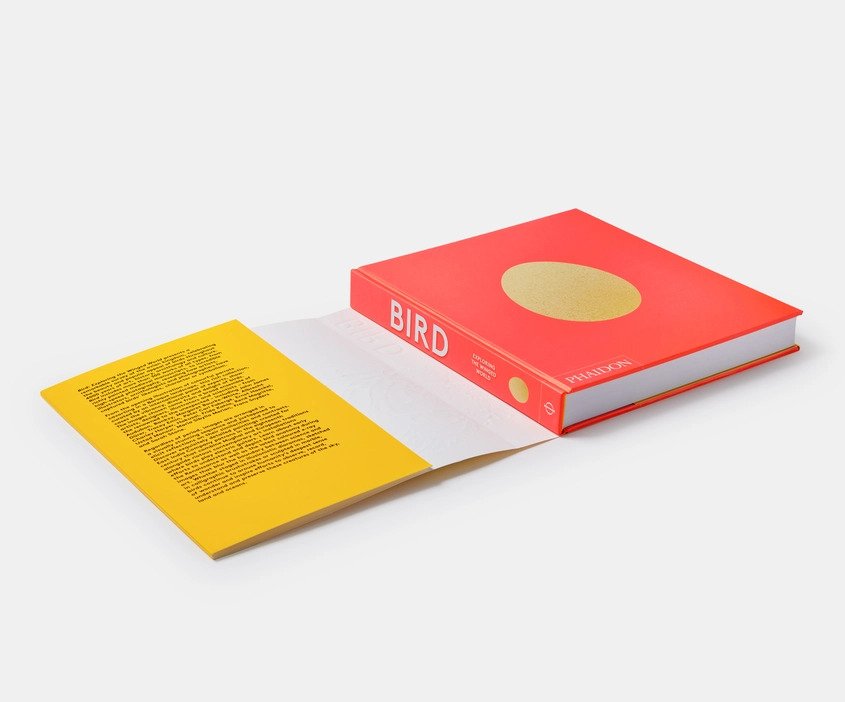 Bird exploring the winged world open cover