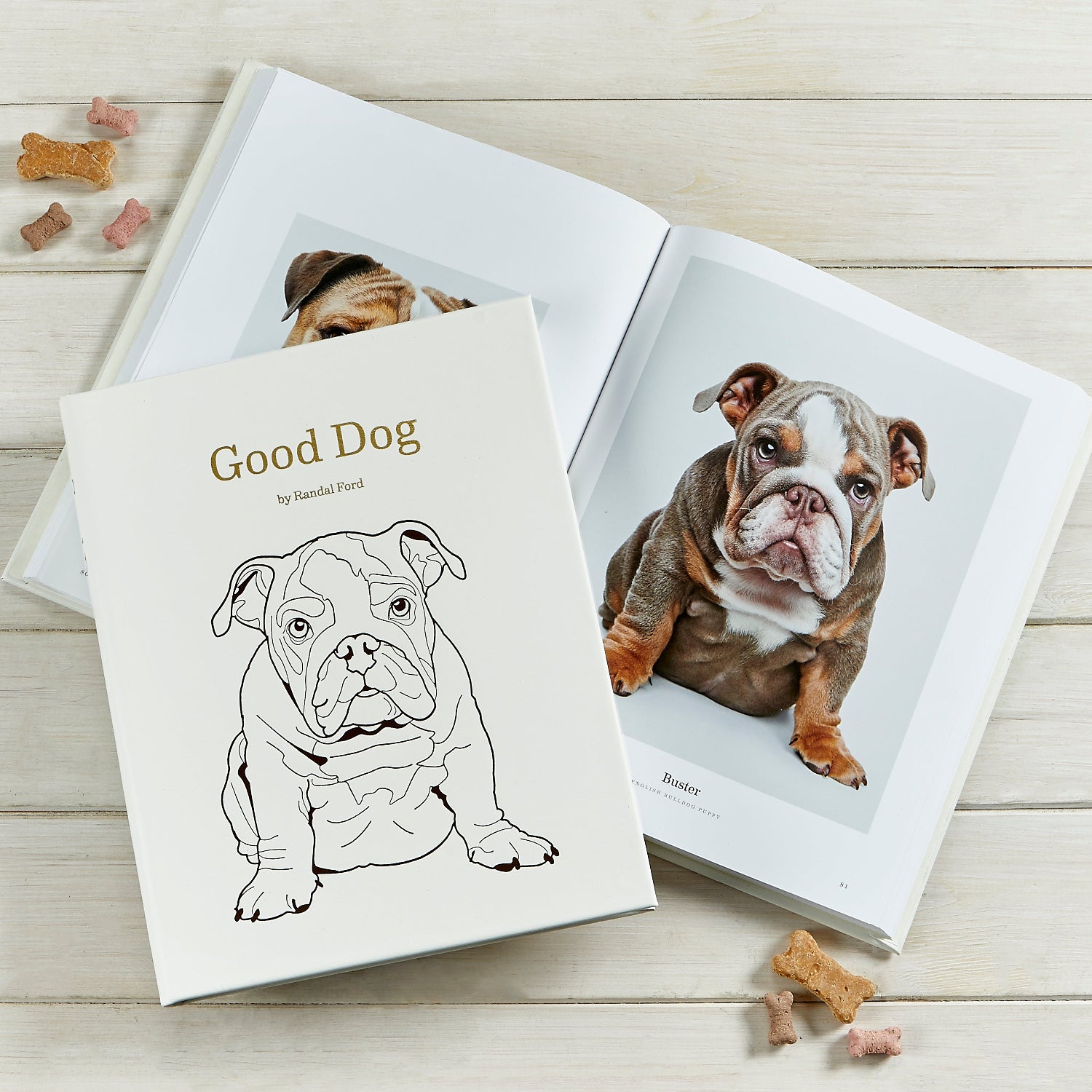 Good Dog book on table with dog treats