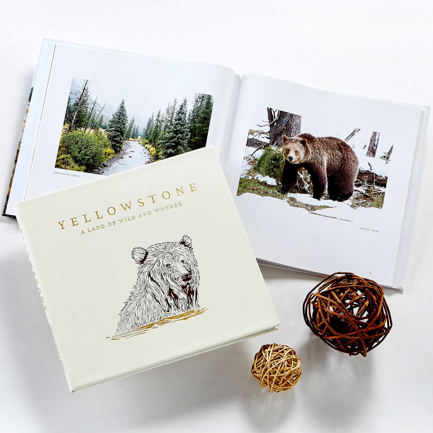Yellowstone: A Land of Wild and Wonder book on table