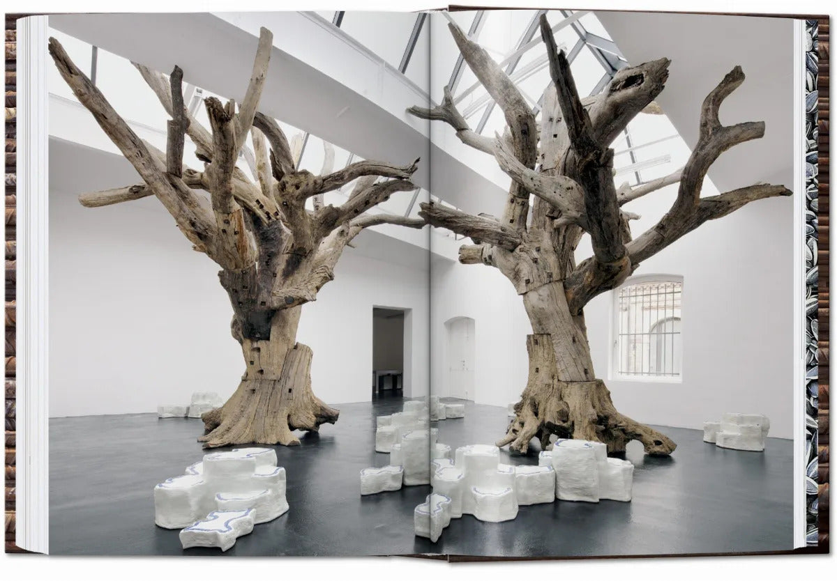 Ai weiwei book open