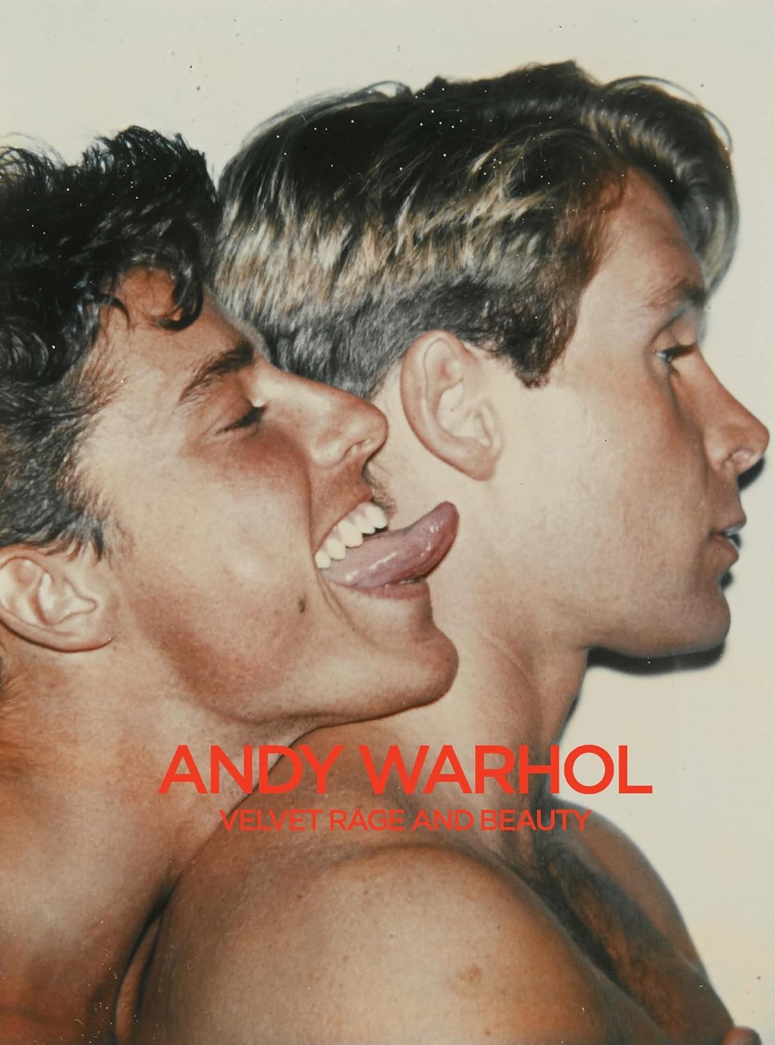 Andy Warhol: Velvet Rage and Beauty book cover