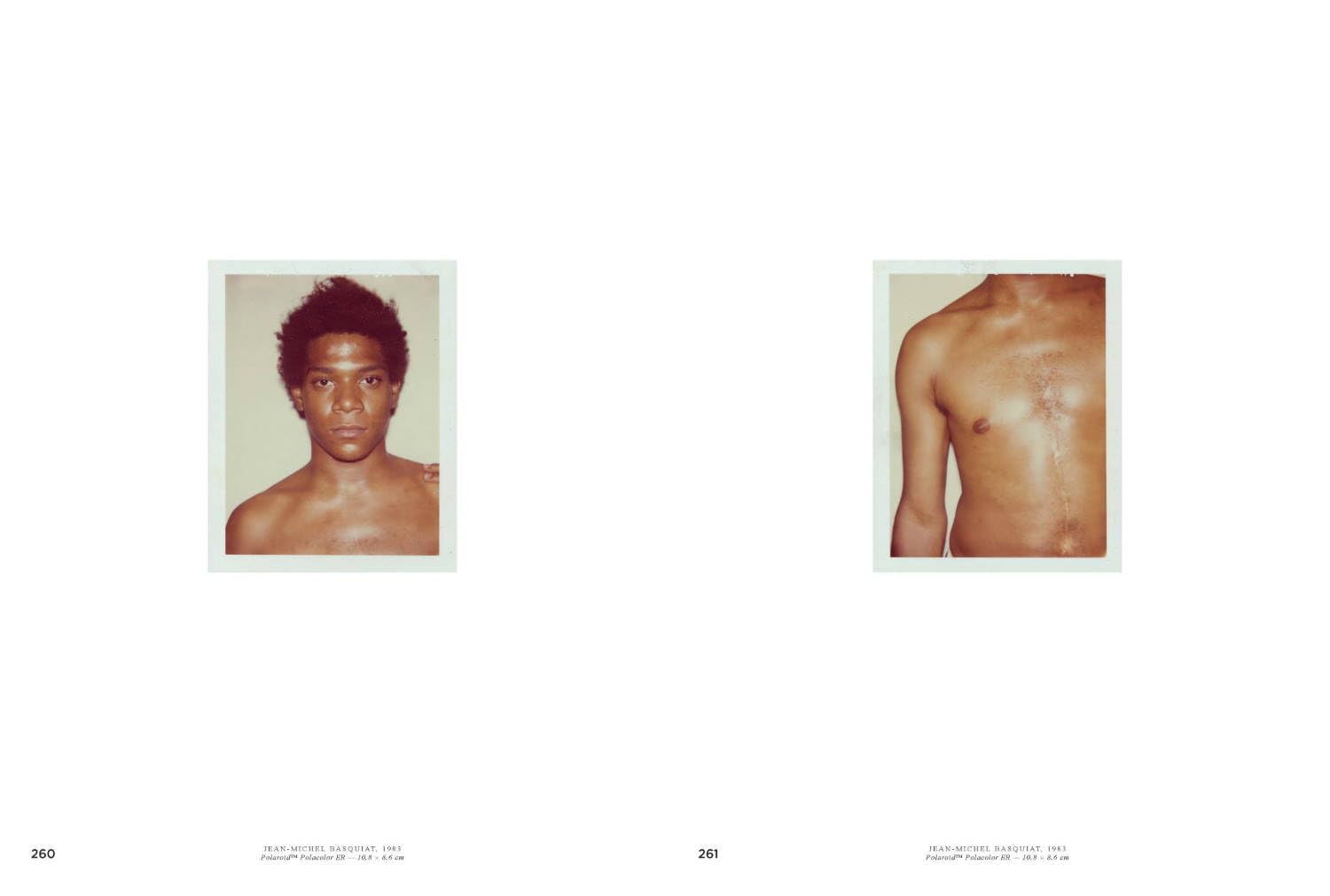 Andy Warhol: Velvet Rage and Beauty book inside