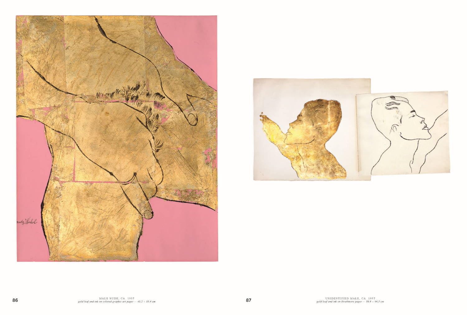 Andy Warhol: Velvet Rage and Beauty book inside