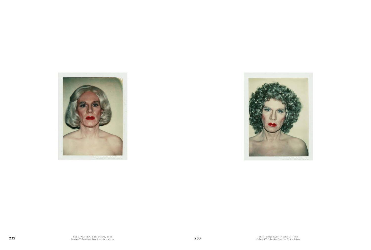 Andy Warhol: Velvet Rage and Beauty book inside