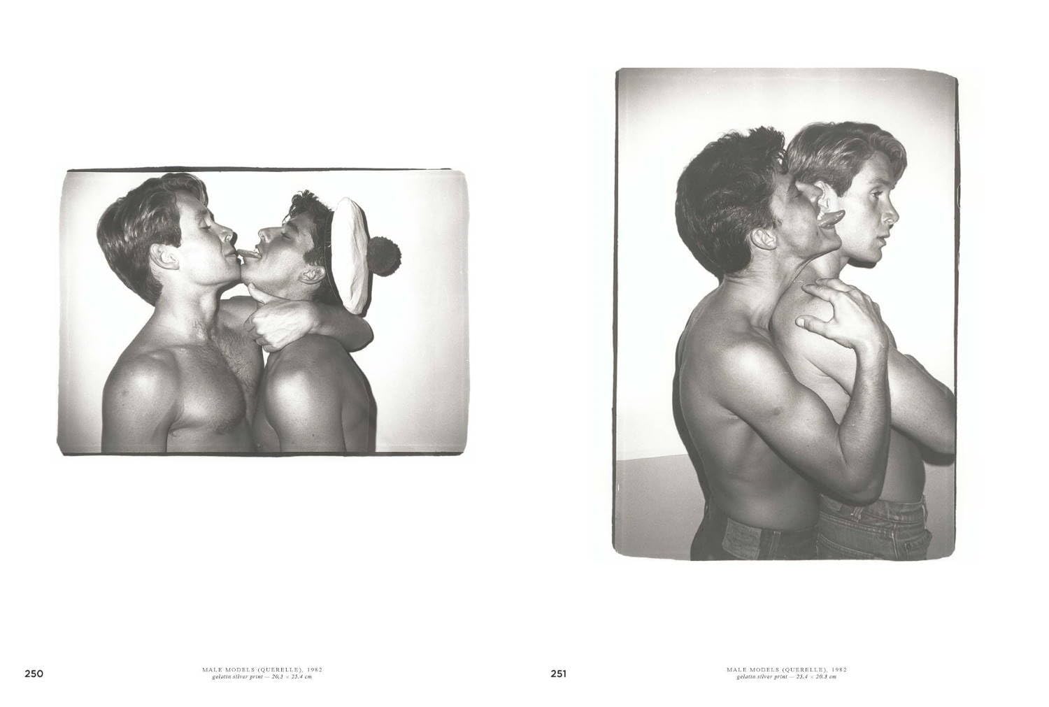 Andy Warhol: Velvet Rage and Beauty book inside