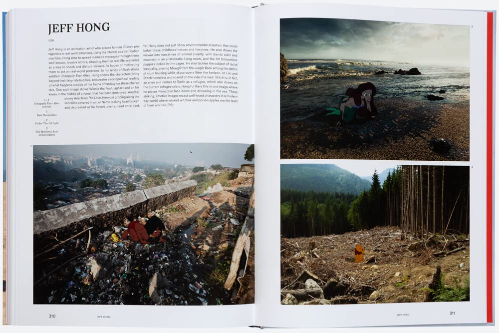 Art of protest book inside
