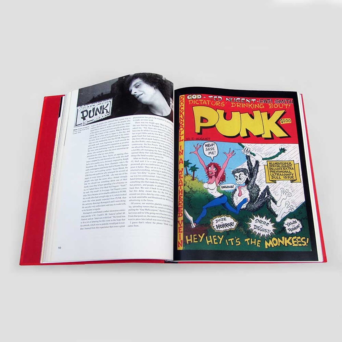 The Best of Punk Magazine book inside