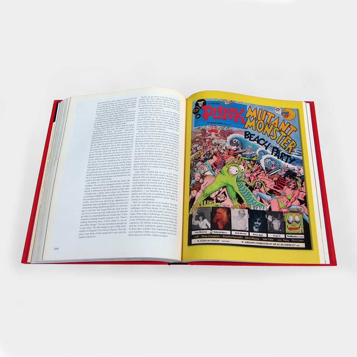 The Best of Punk Magazine book inside