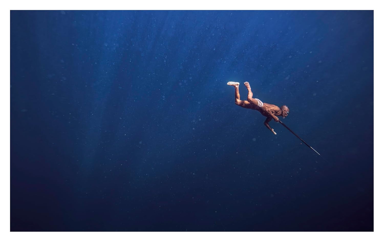 Bi-Polar book inside