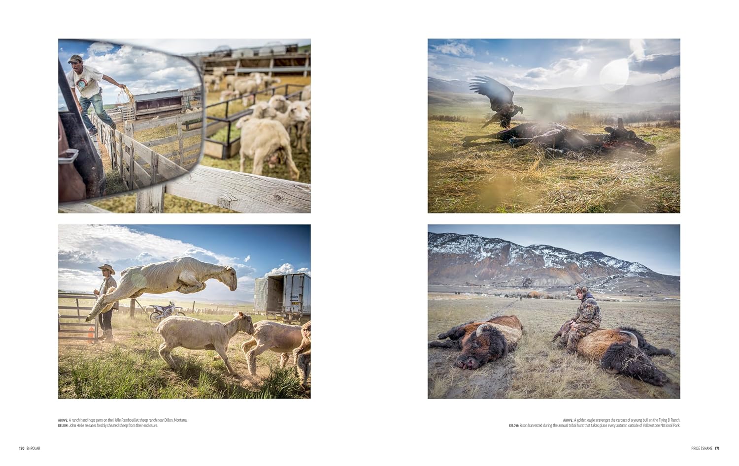 Bi-Polar book inside