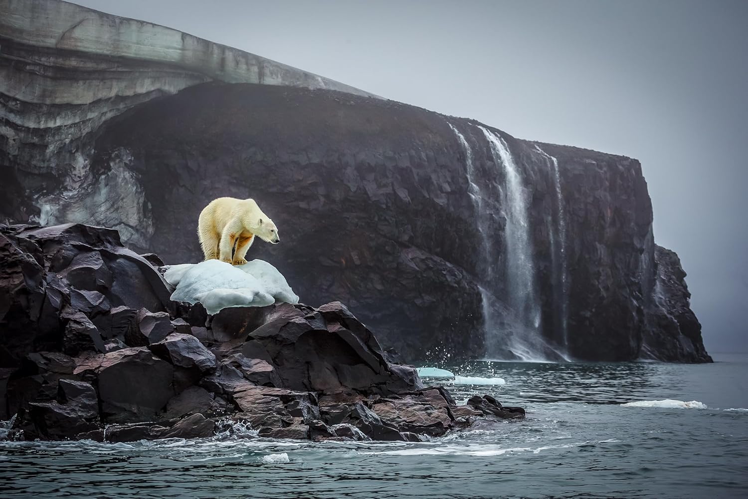 Bi-Polar book inside