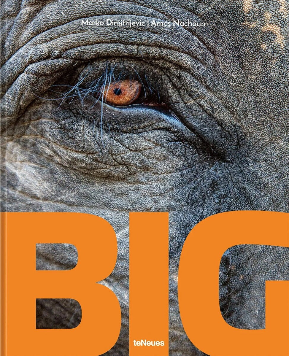 Big animals book cover