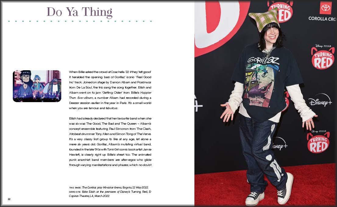 Billie Eilish and the Clothes She Wears book inside