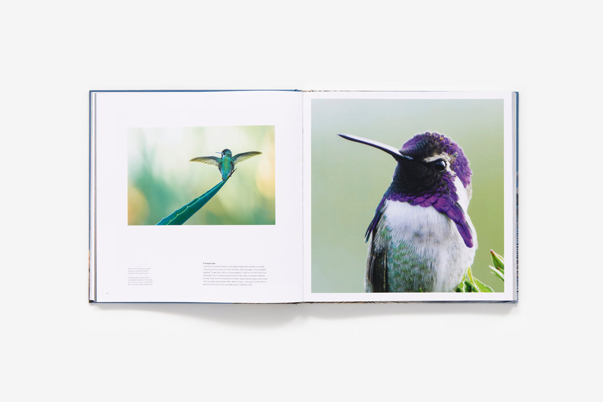 Bird planet book inside