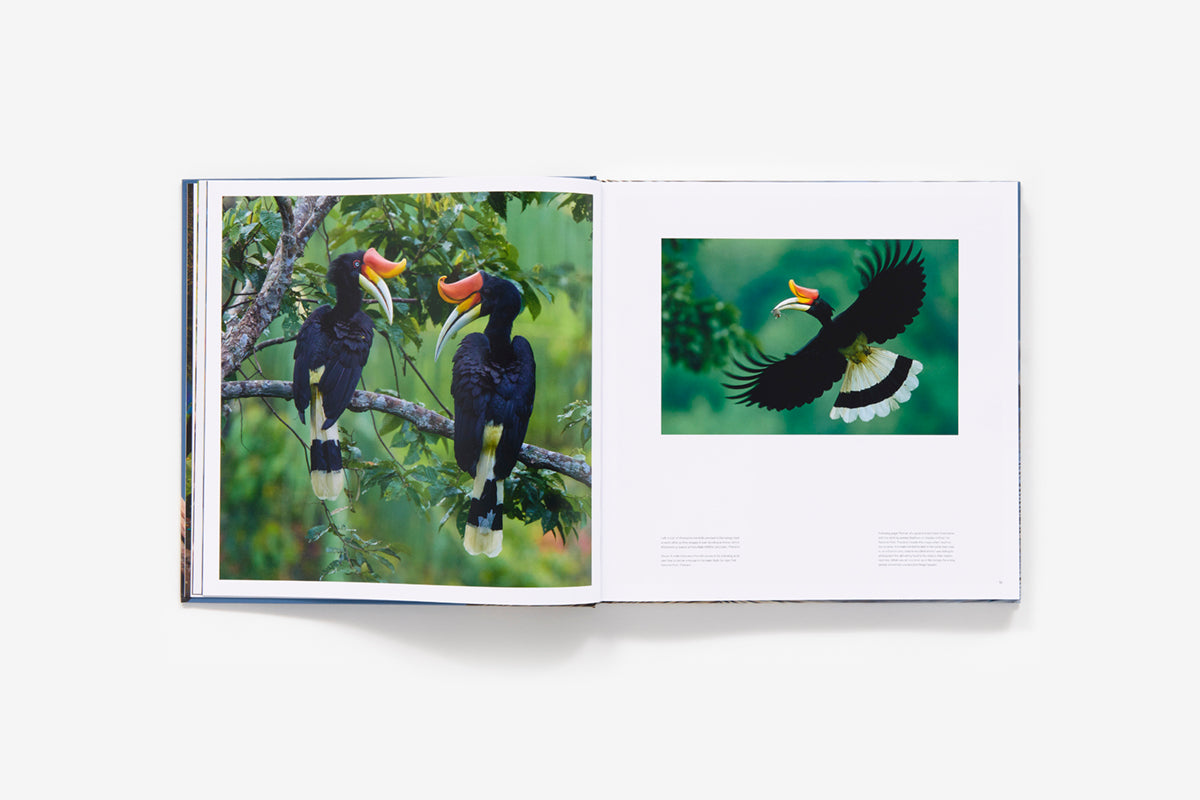 Bird planet book inside