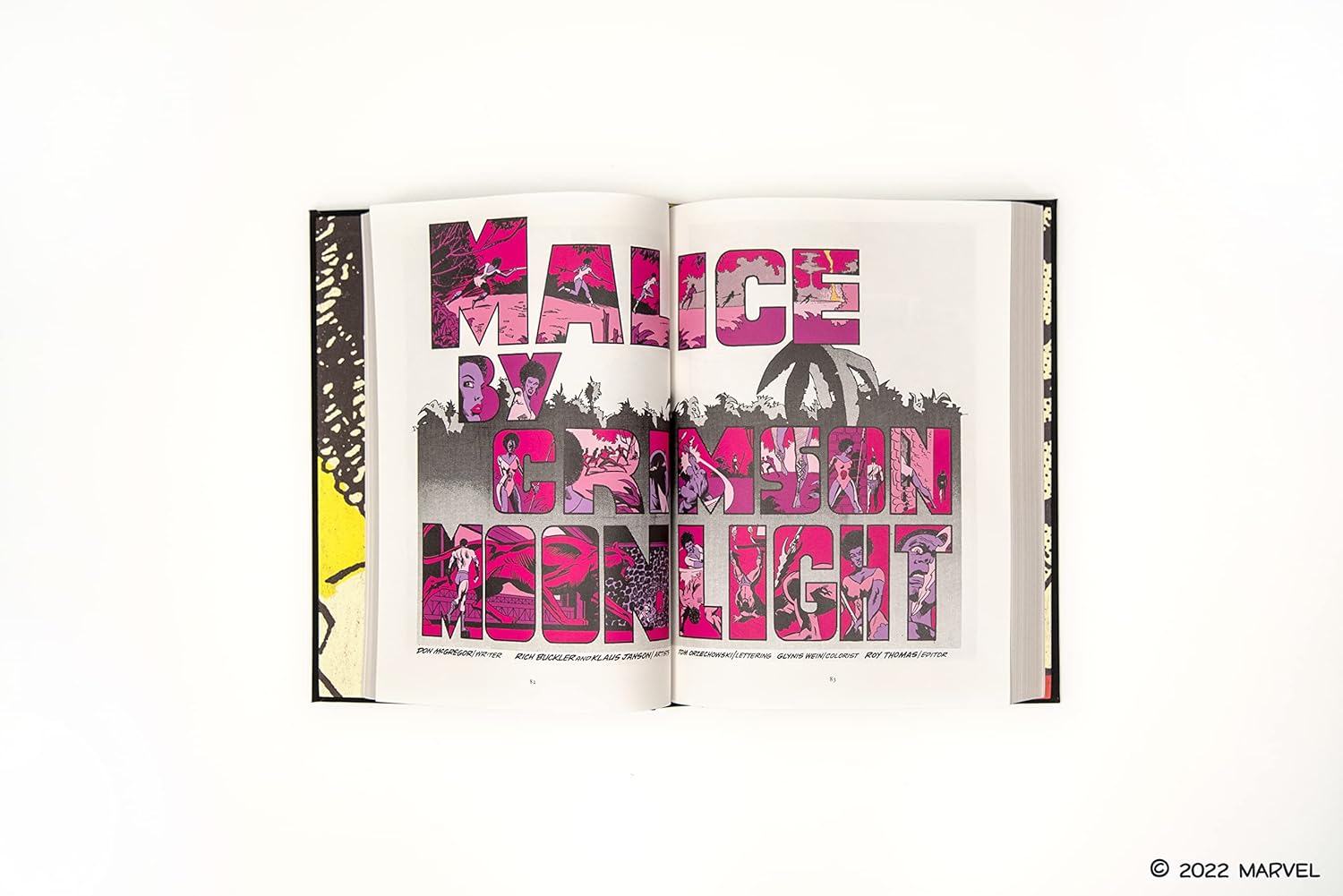 Black panther book inside