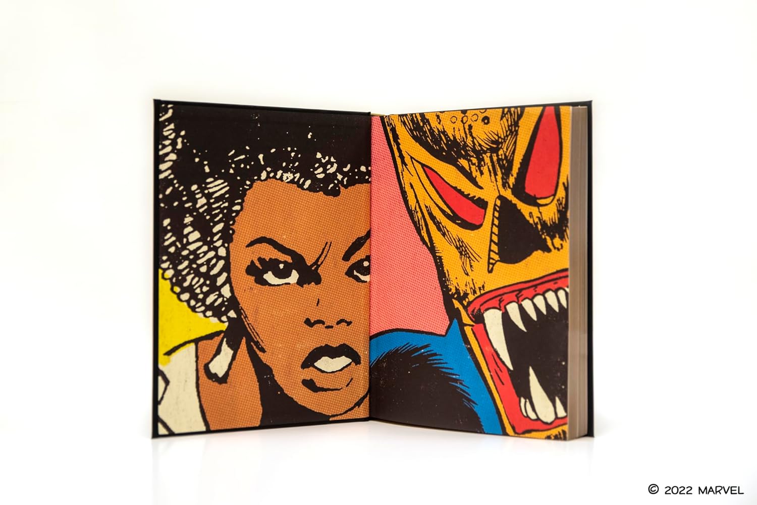 Black panther book inside