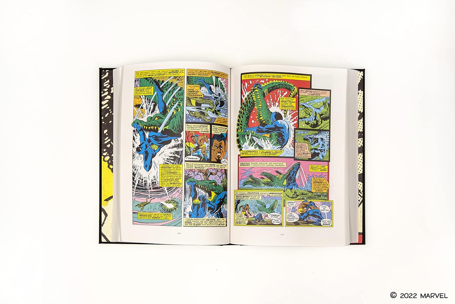 Black panther book inside