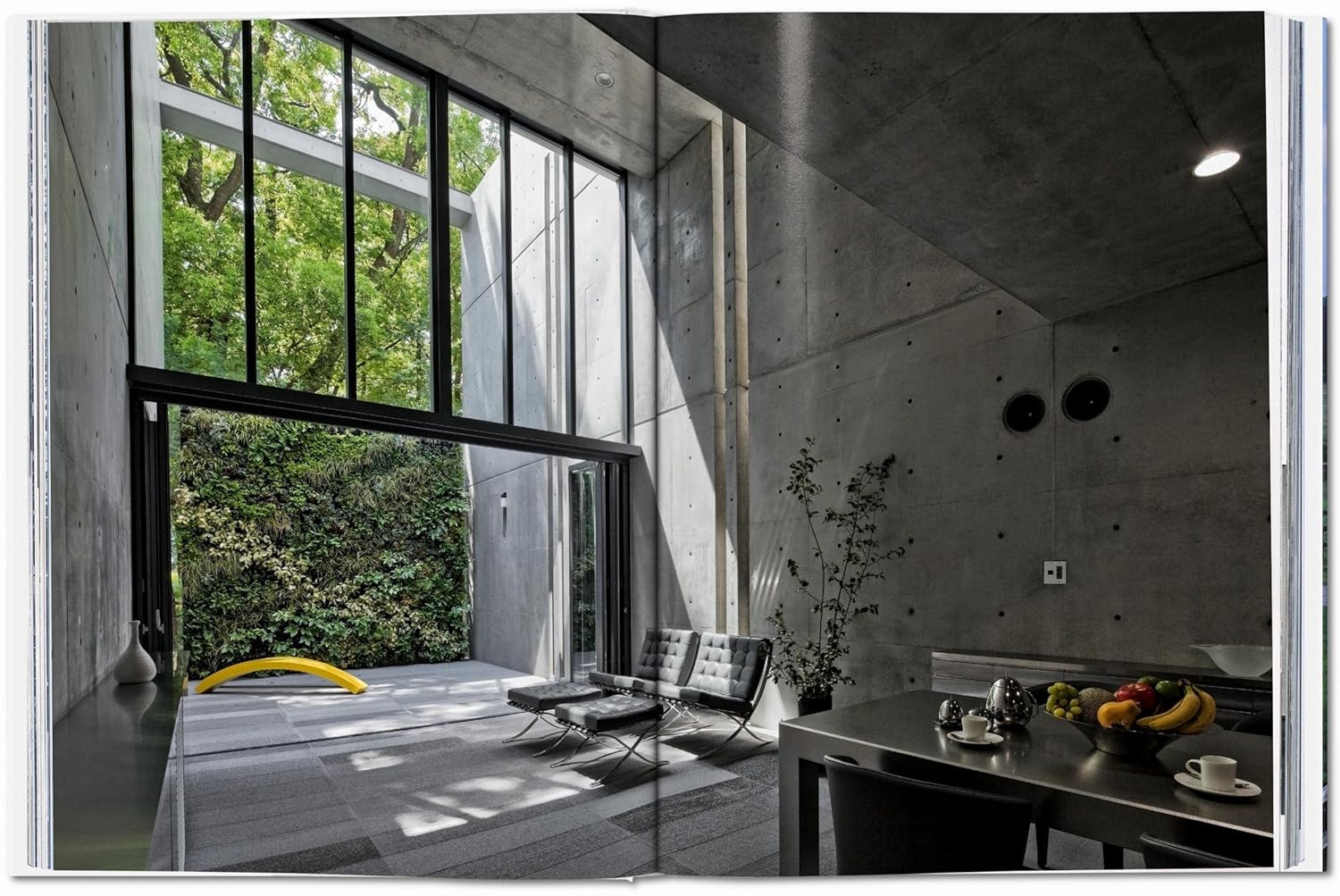 Contemporary Houses book inside
