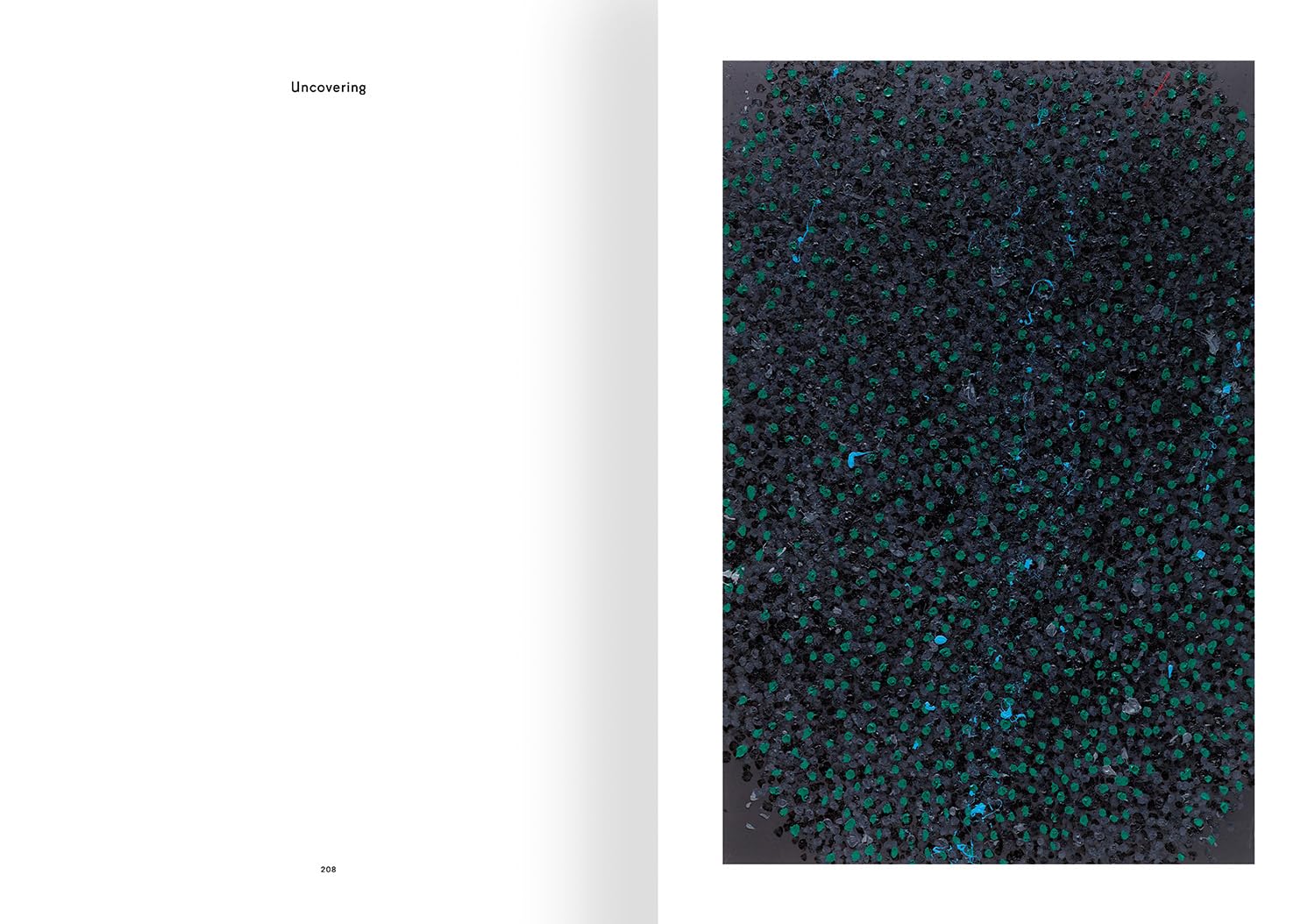Damien Hirst: Reverence, Revelation, Devotion book inside