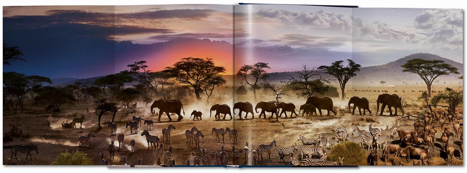 Day to night book inside