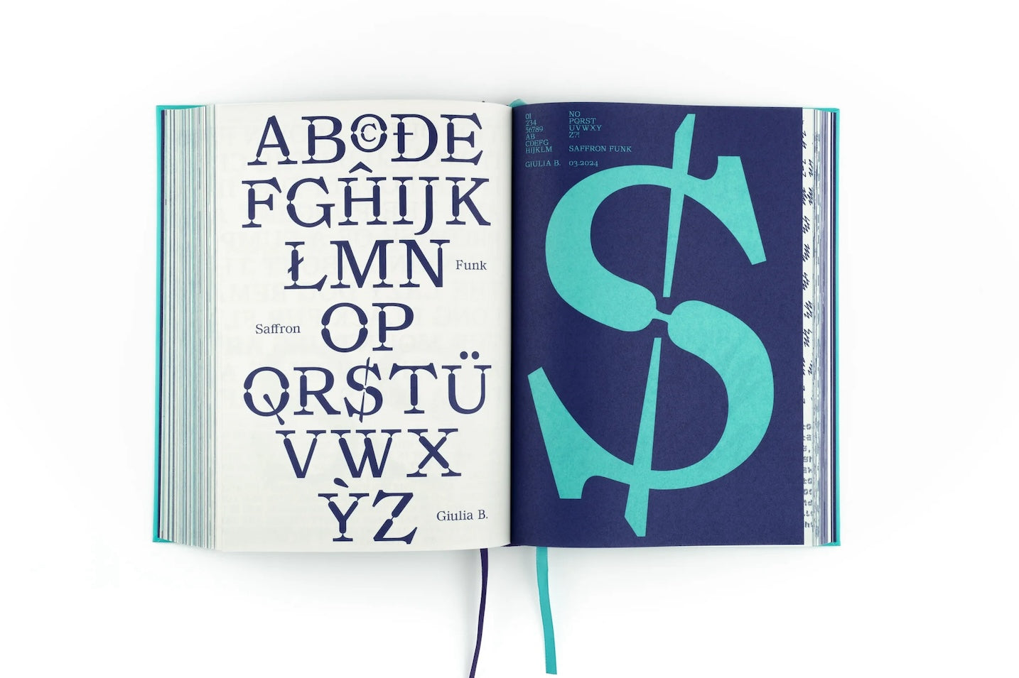 Display in Use book inside