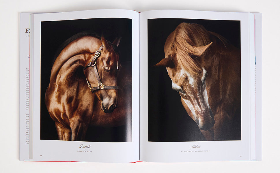 Farm Life book inside