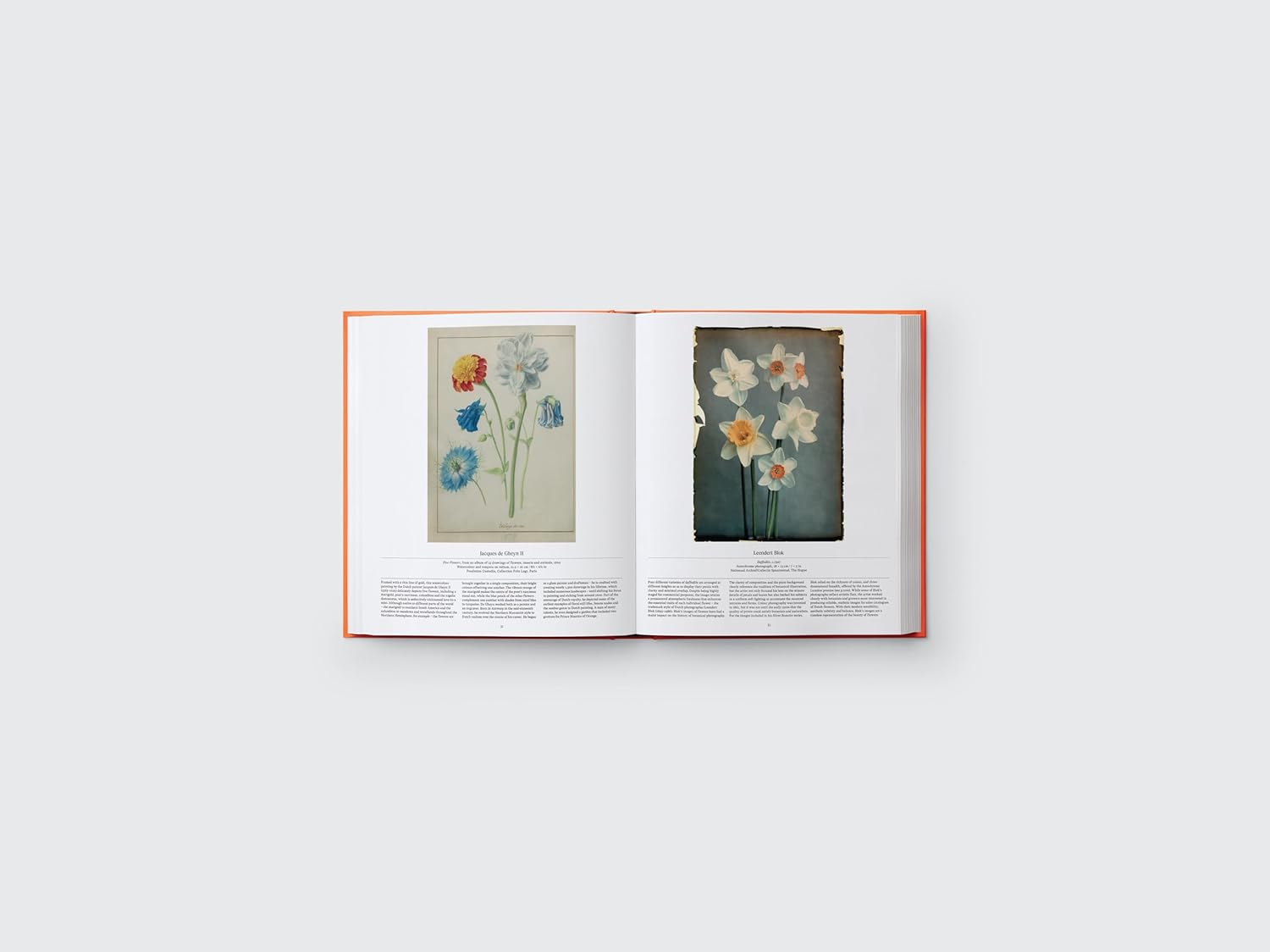 Flower book inside