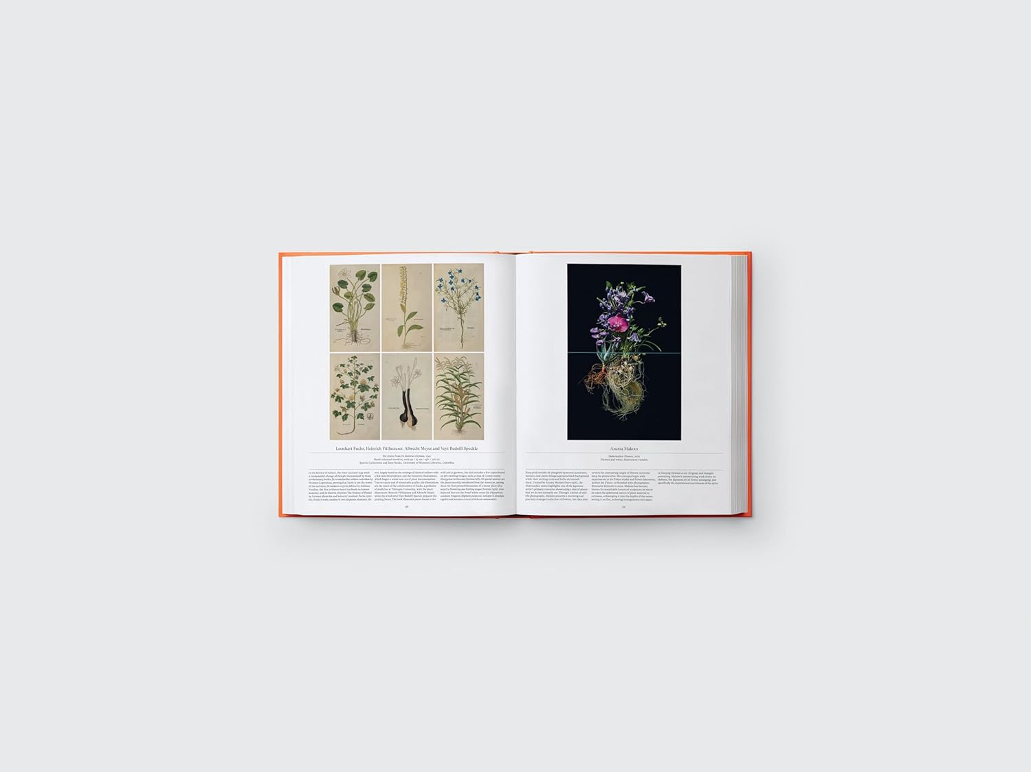 Flower book inside