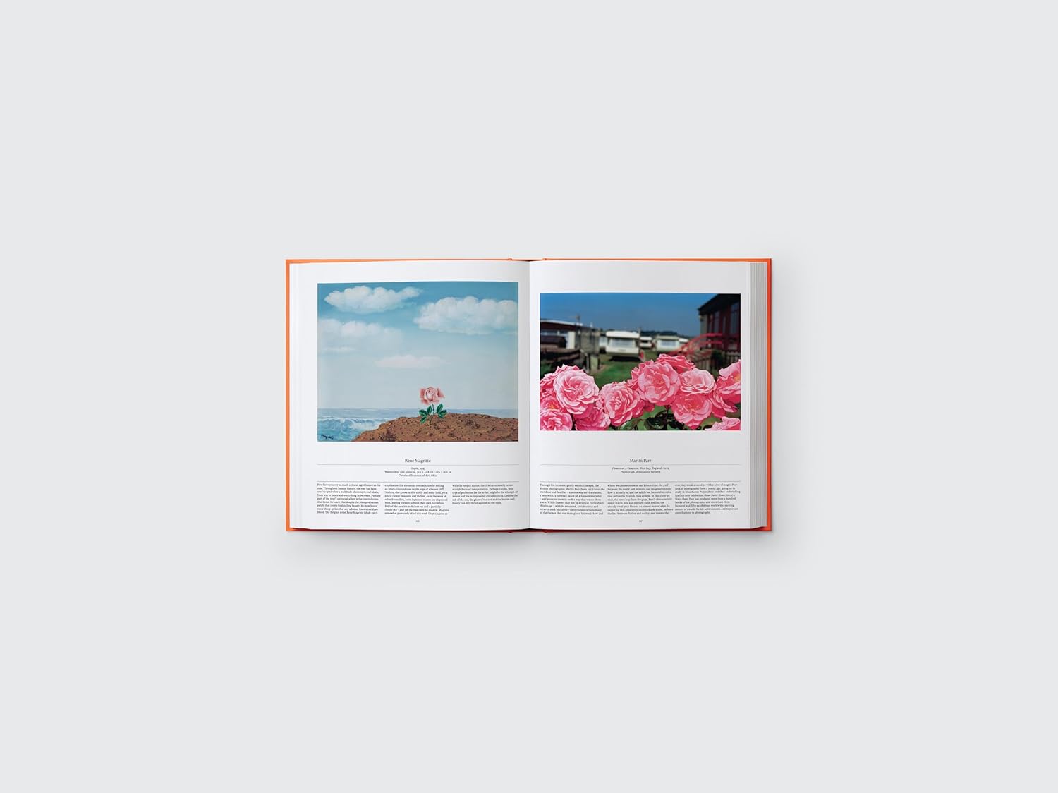 Flower book inside