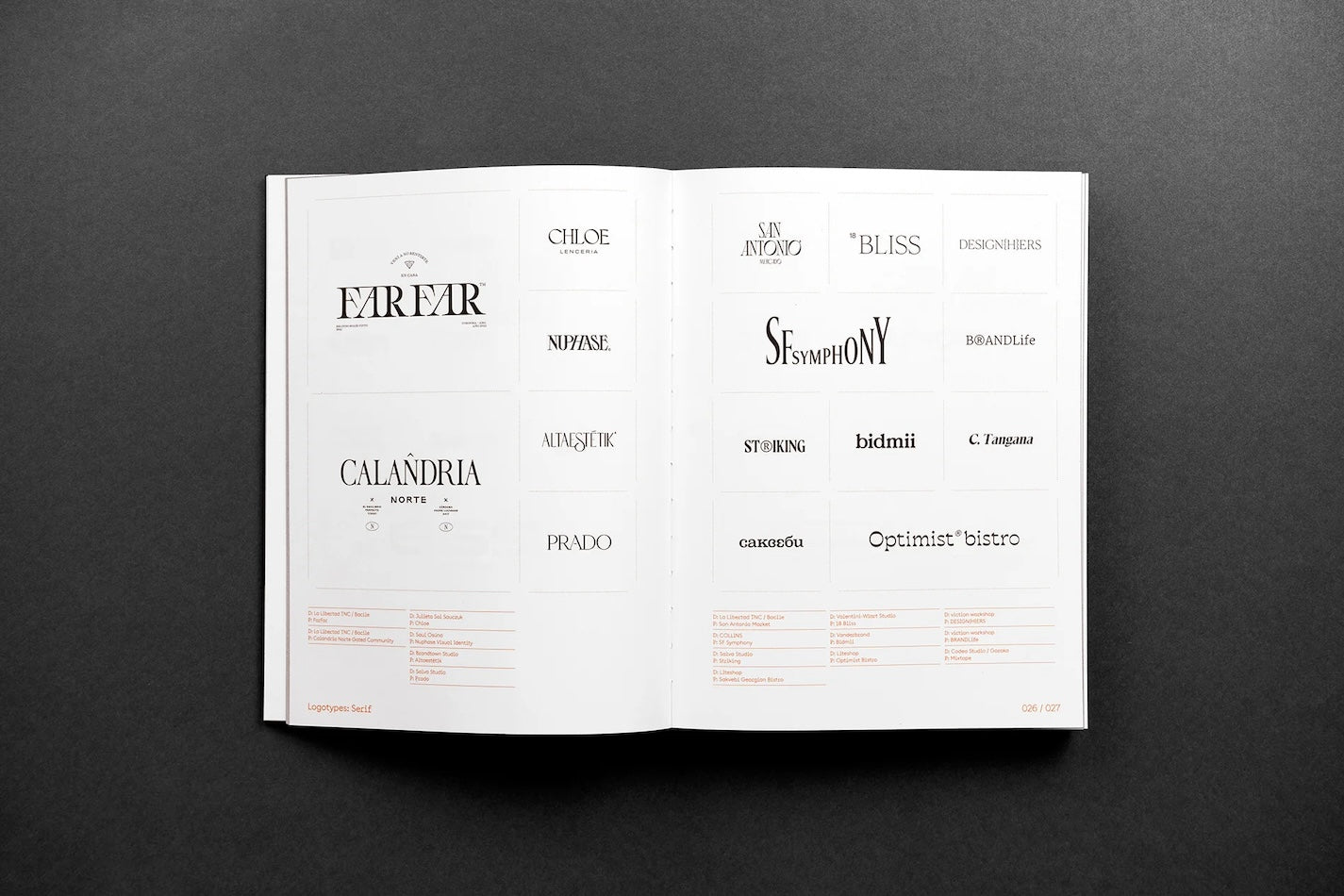 From Type to LOGO book inside