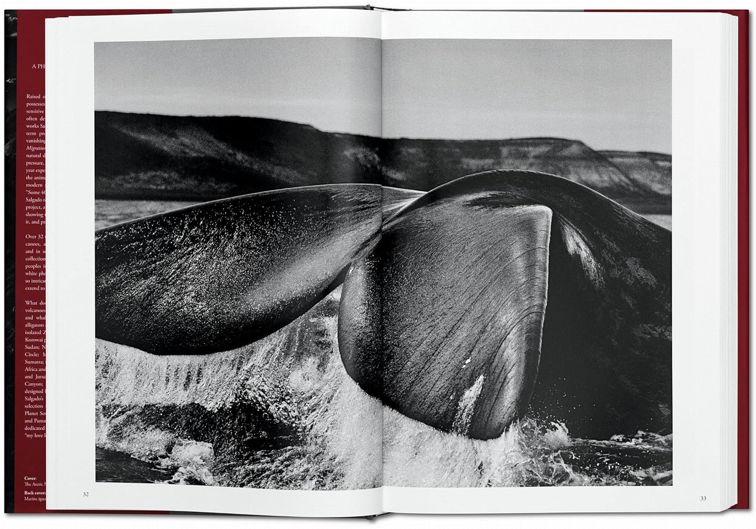 GENESIS (Sebastiao Salgado) book inside