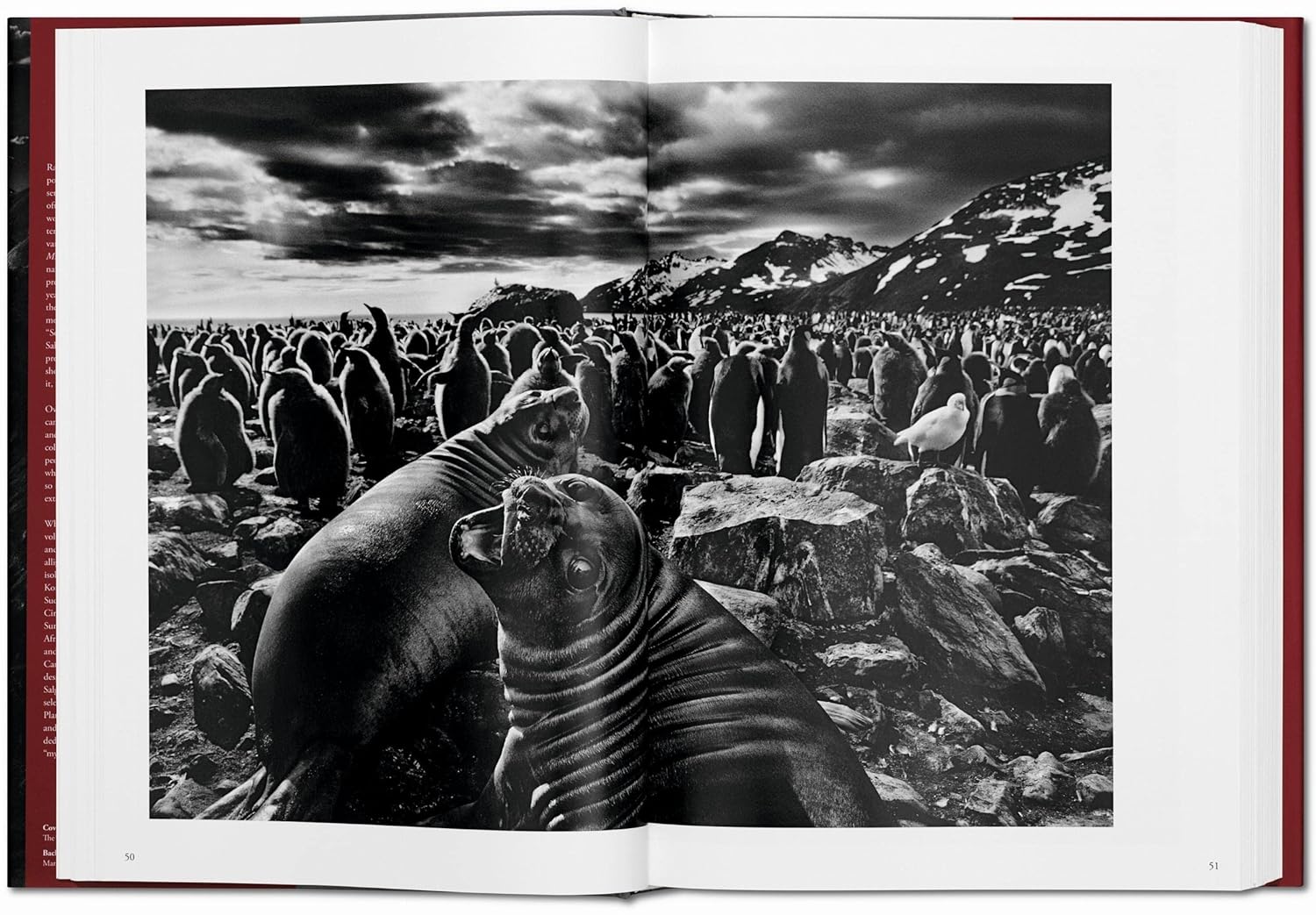 GENESIS (Sebastiao Salgado) book inside