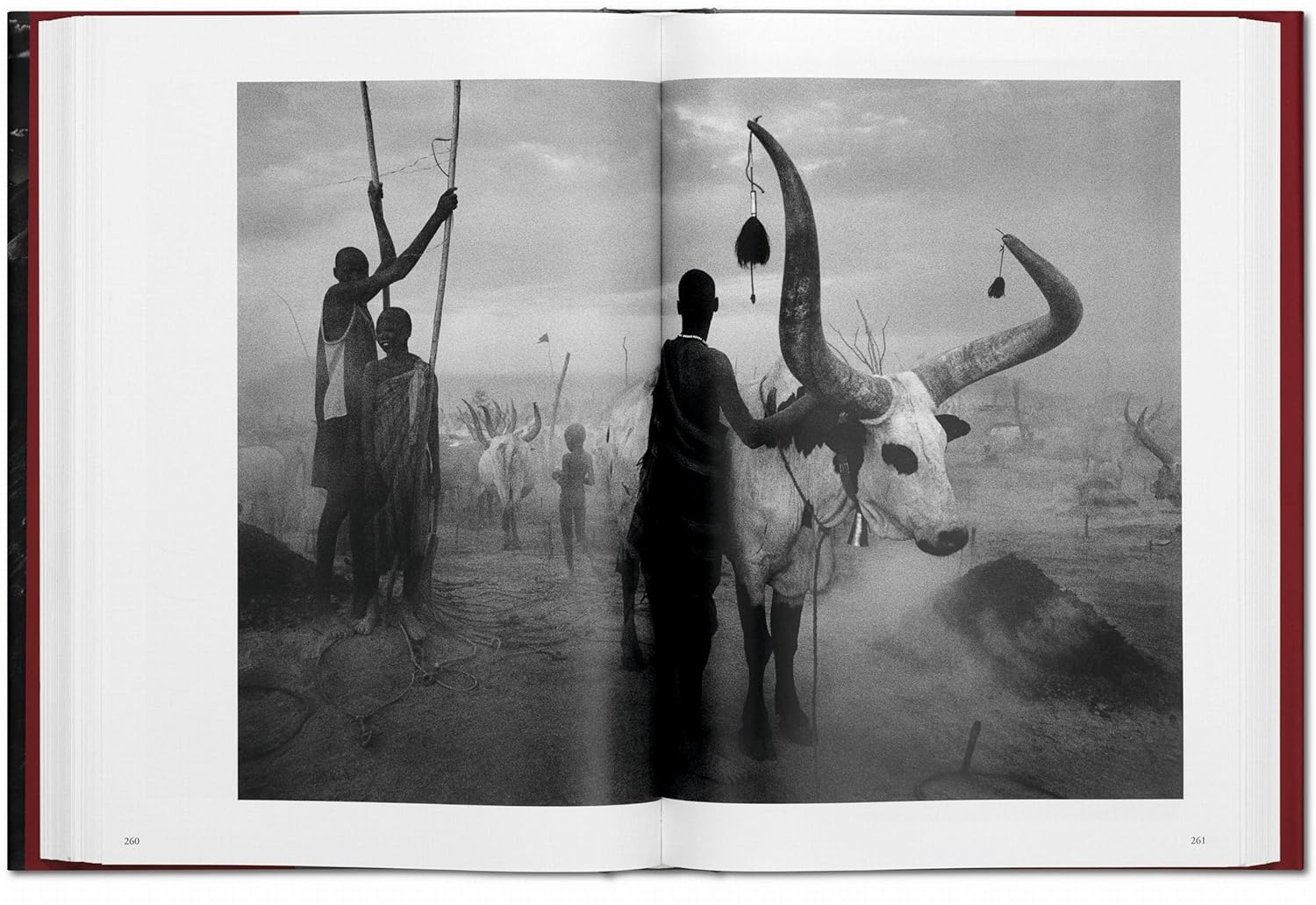 GENESIS (Sebastiao Salgado) book inside