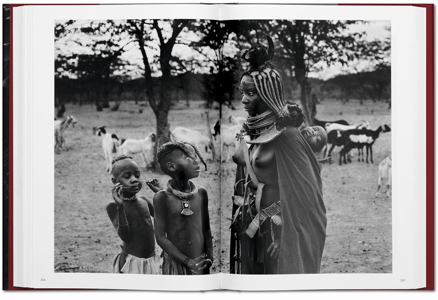 GENESIS (Sebastiao Salgado) book inside