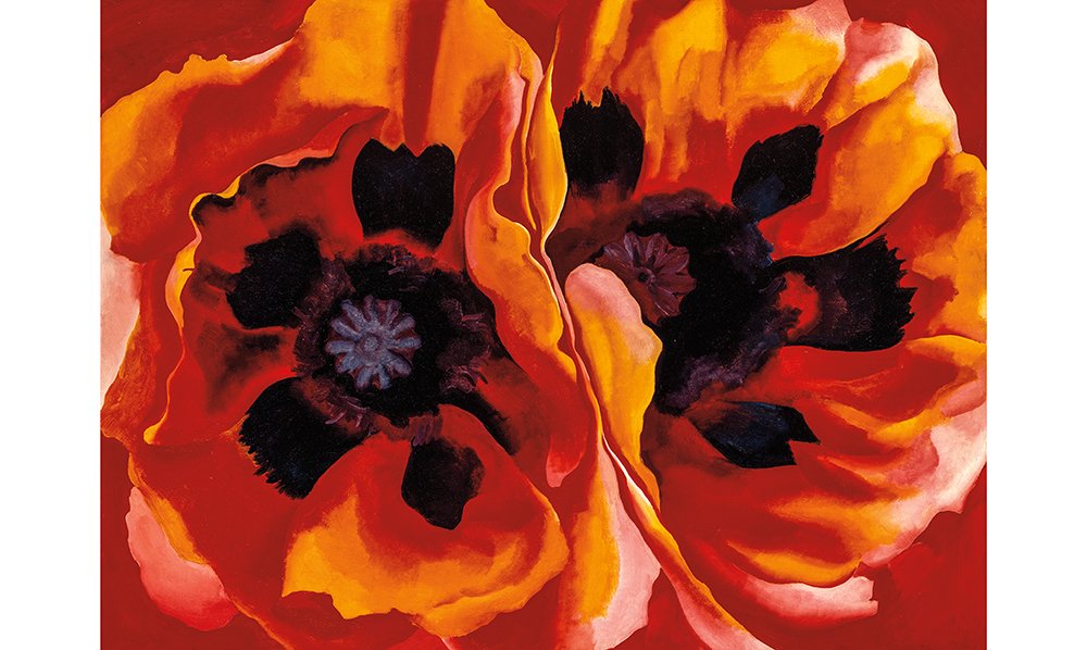 Georgia okeeffe one hundred flowers book inside