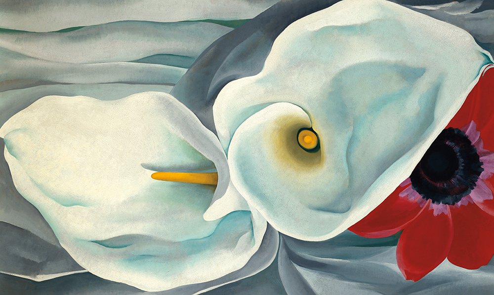Georgia okeeffe one hundred flowers book inside