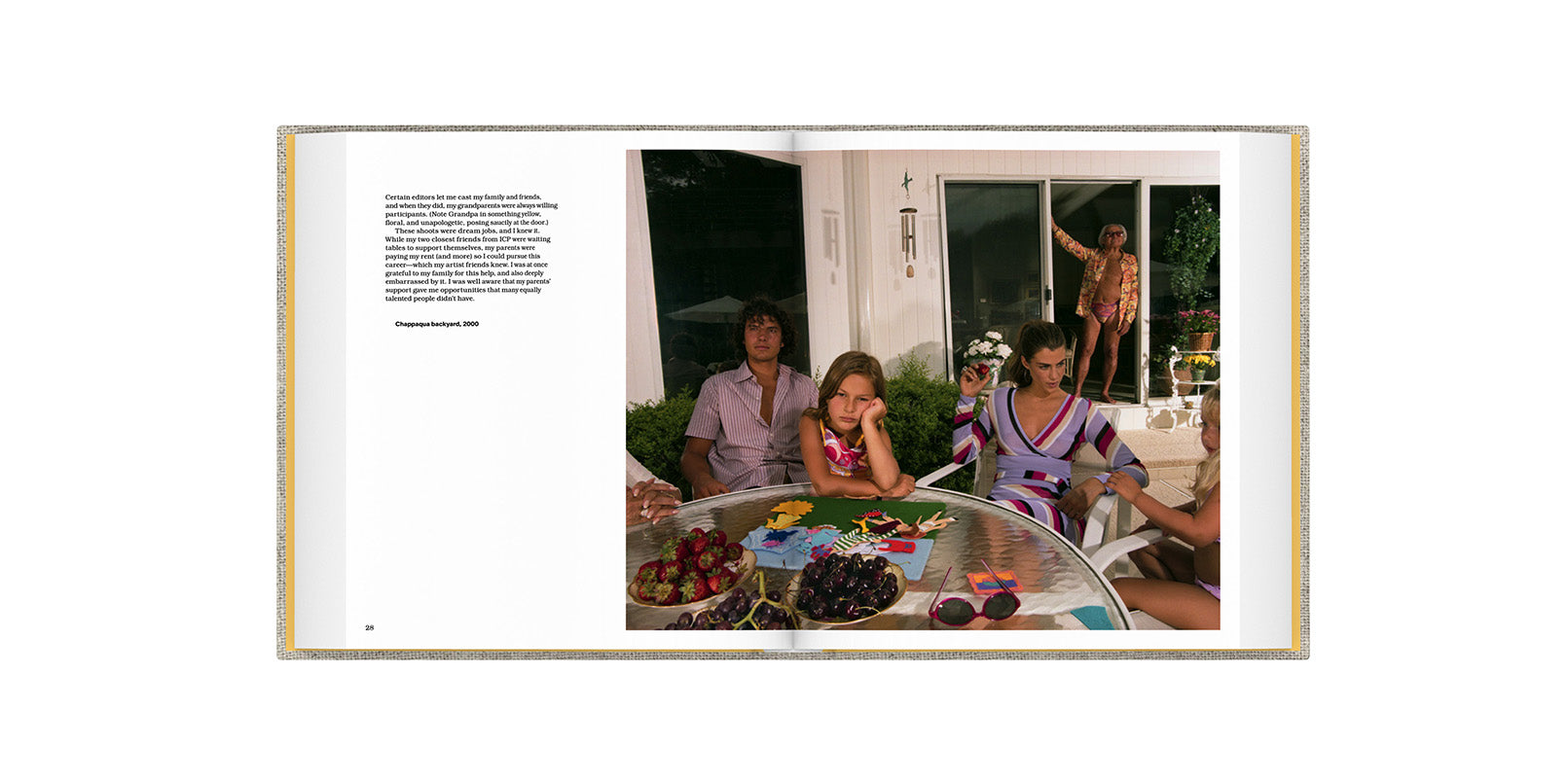 Gillian laub family matters book inside