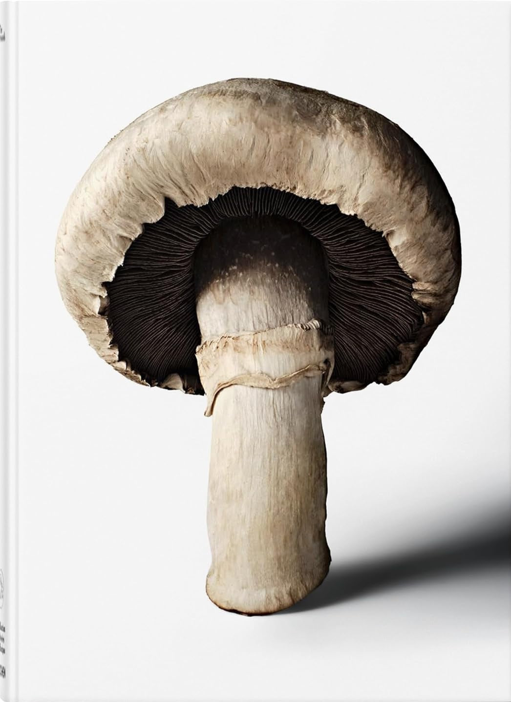 The Gourmand's Mushroom book cover