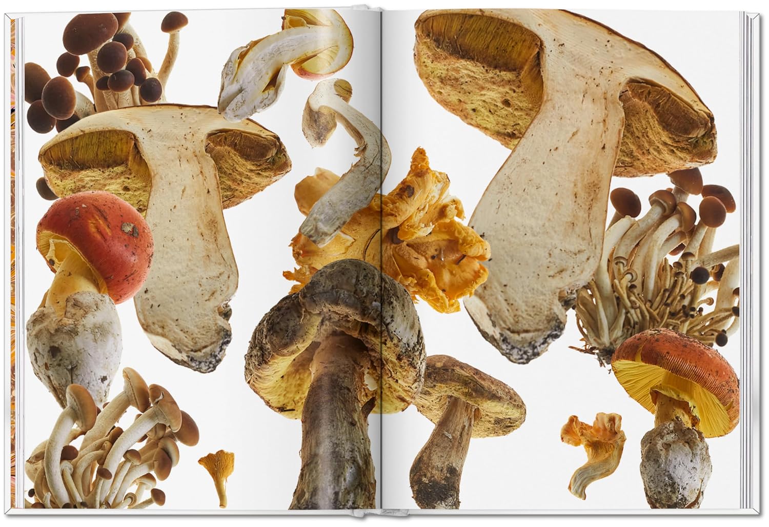 The Gourmand's Mushroom book inside