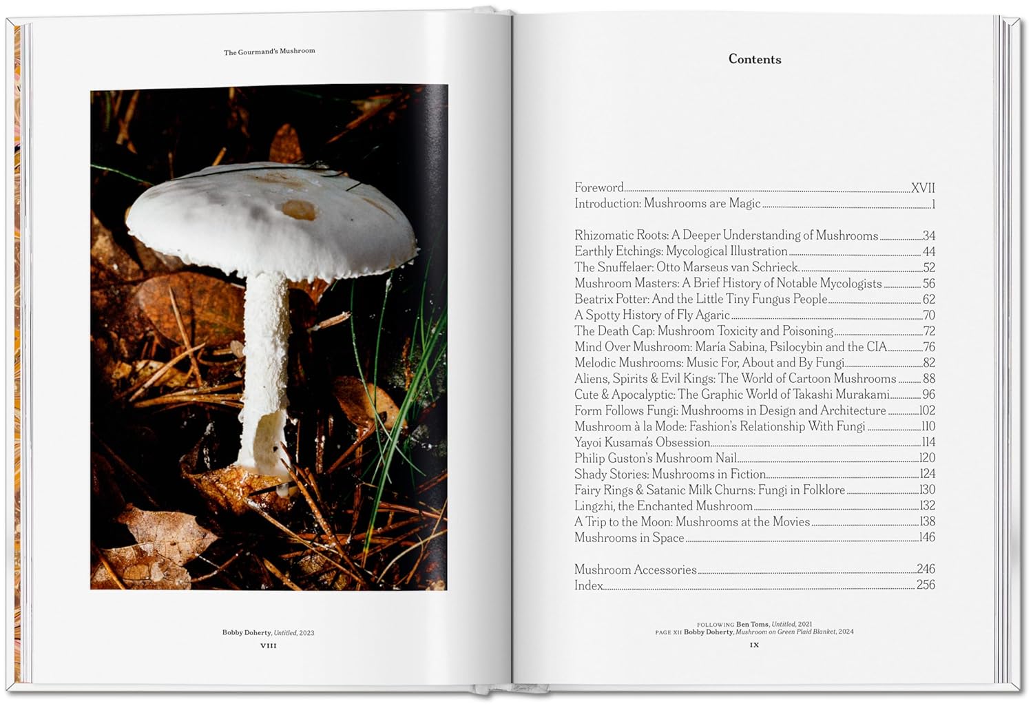 The Gourmand's Mushroom book inside