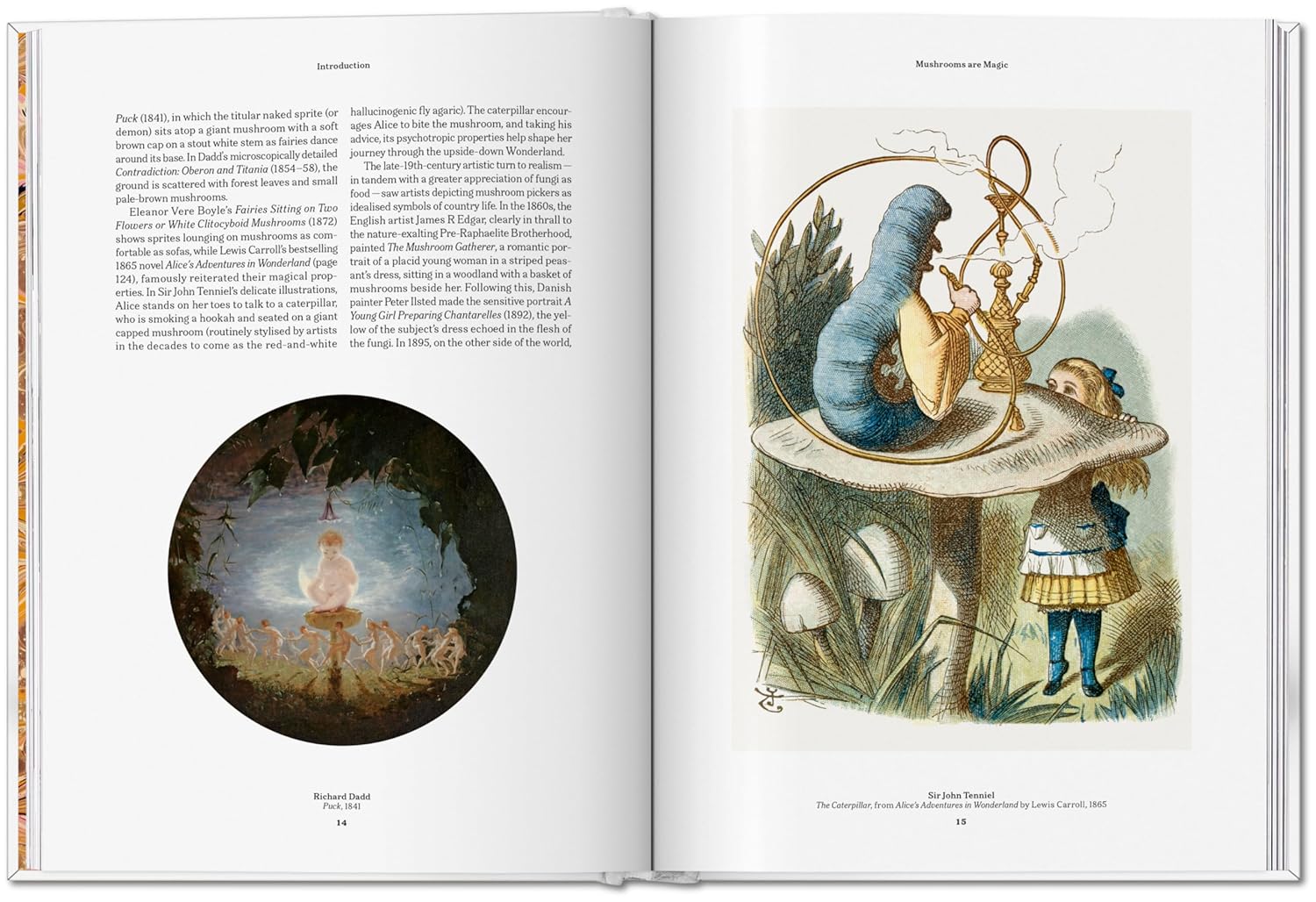 The Gourmand's Mushroom book inside