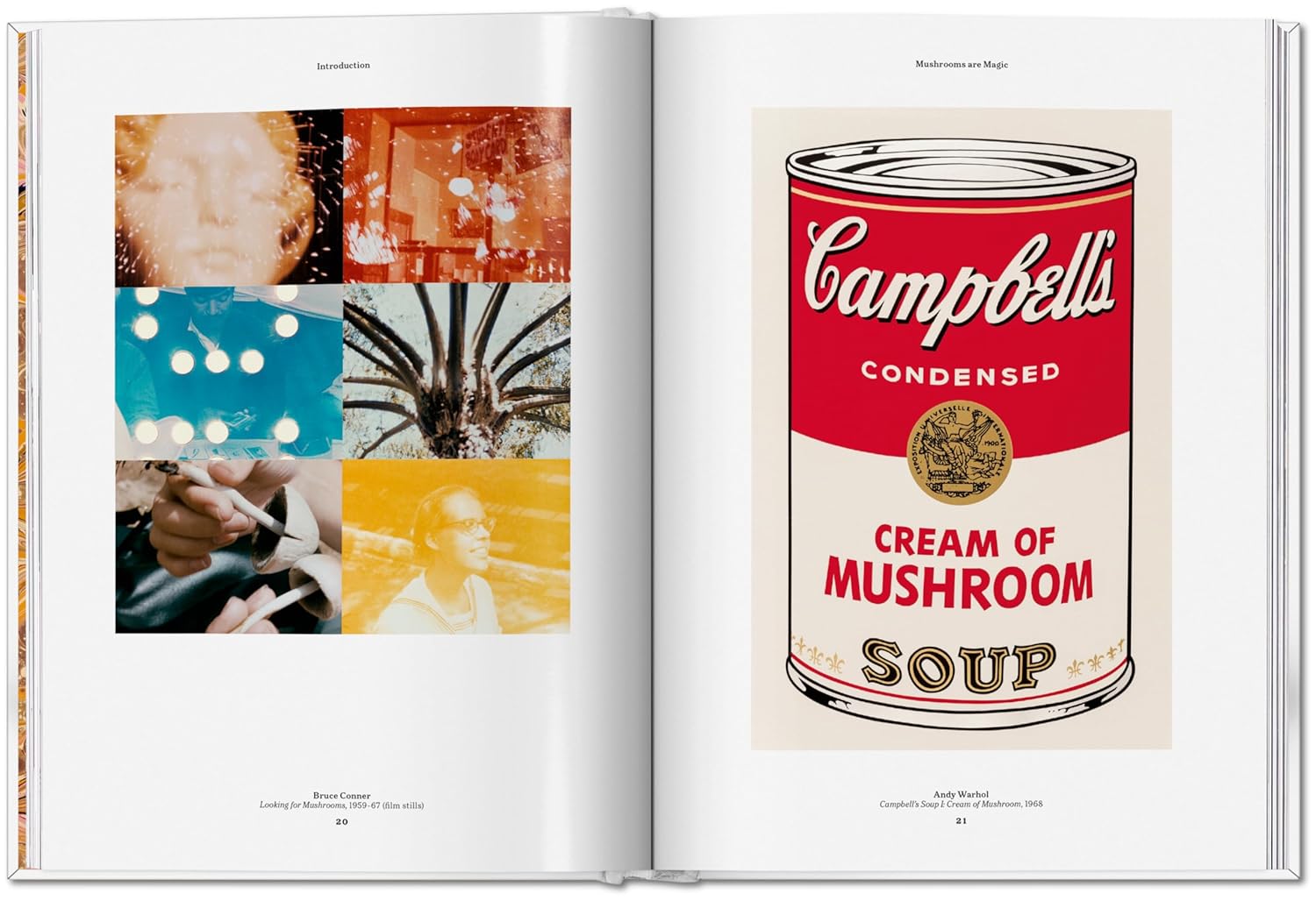 The Gourmand's Mushroom book inside